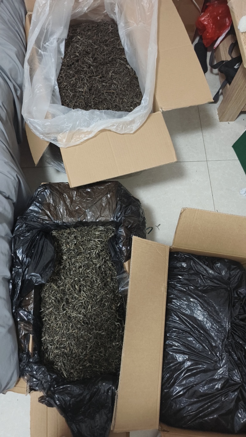 古树普洱茶