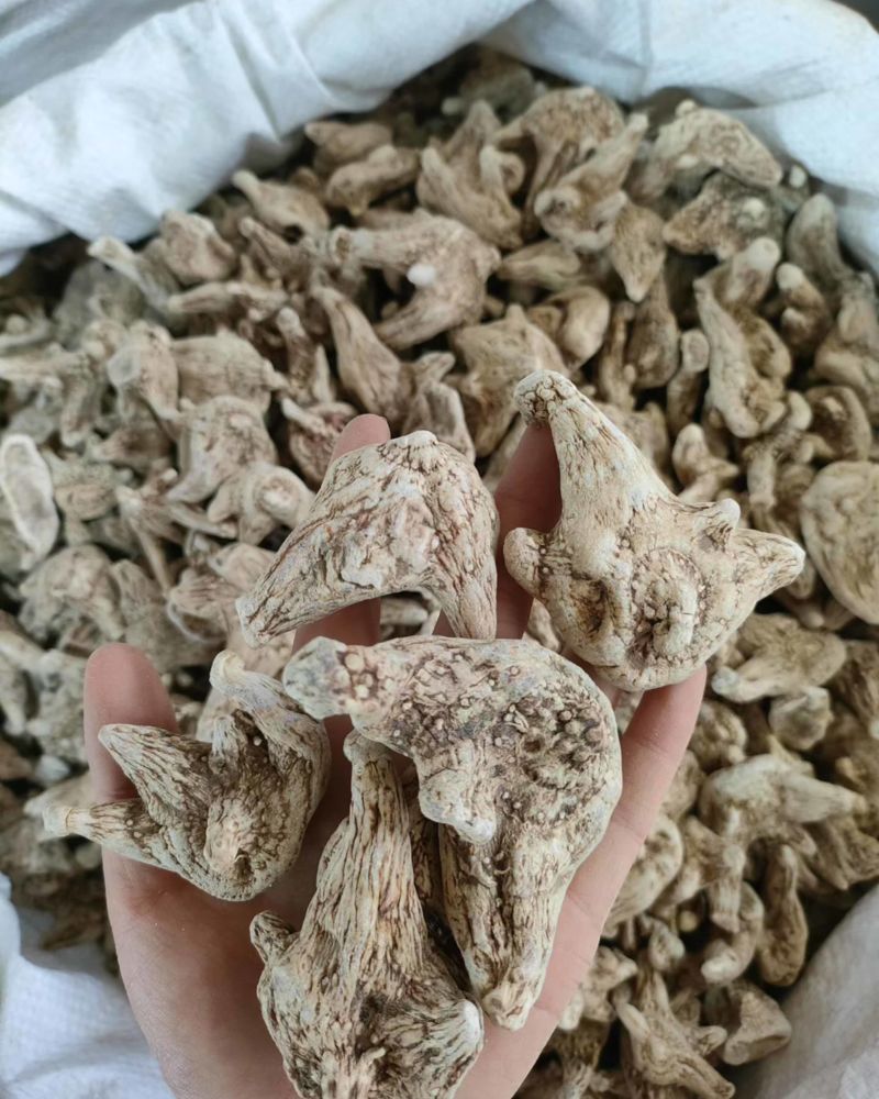 白芨片个子大量供应正品白芨品种齐全规格多样质量保障