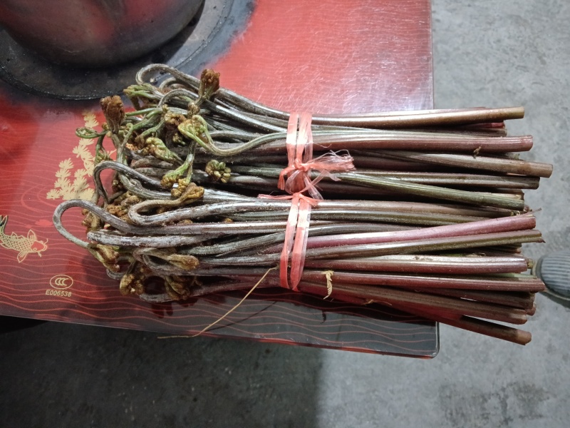 贵州纯野生蕨菜鲜货