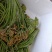 贵州纯野生蕨菜鲜货