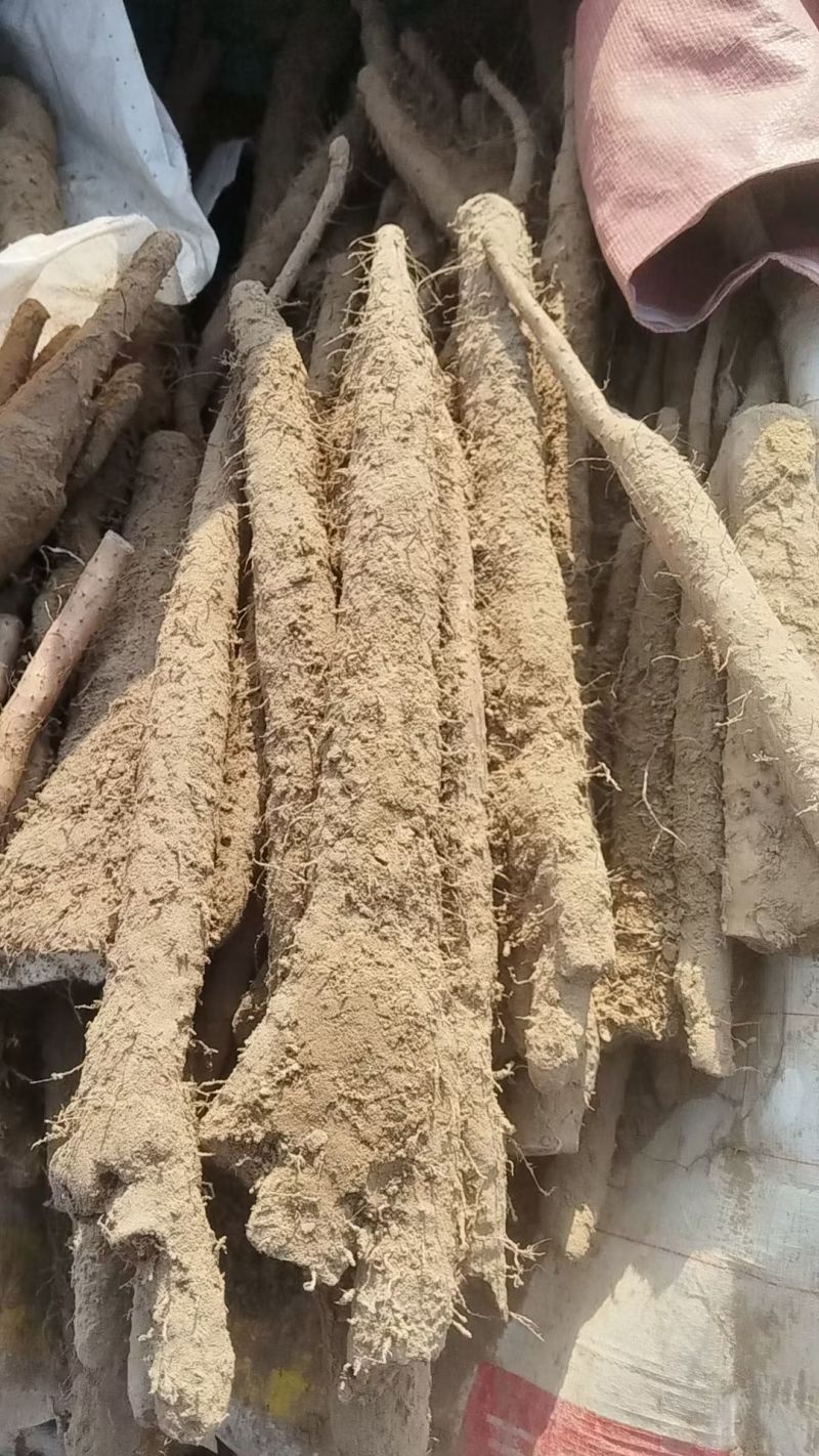 紫药