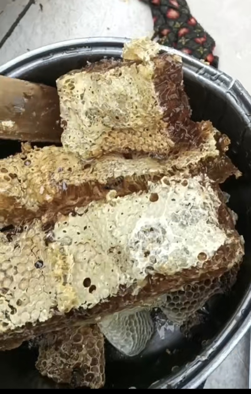 ***土蜂蜜