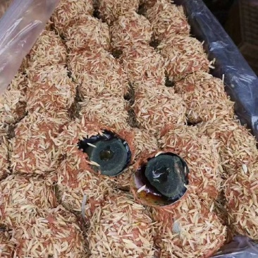 各种麻壳松花蛋，大量批发，价格低