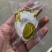 轻微破壳鸭蛋，个个流油，价格低