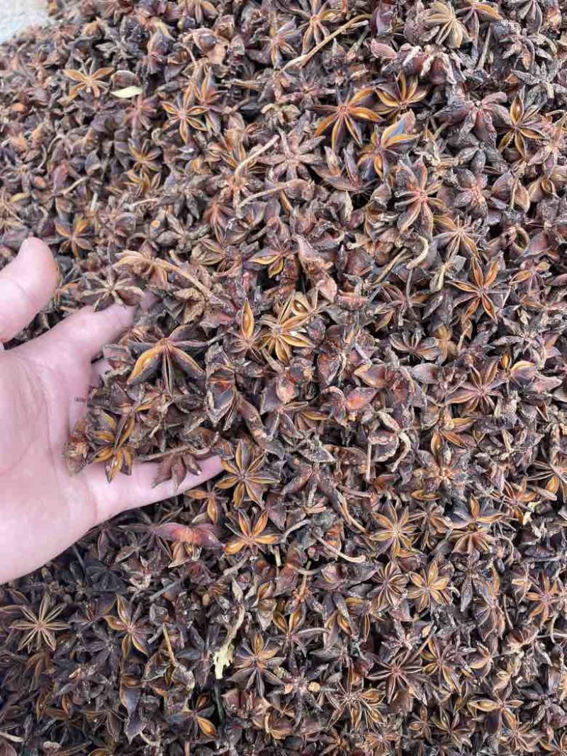 广西玉林大红八角产地直供，品种齐全，可定制规格，欢迎来电