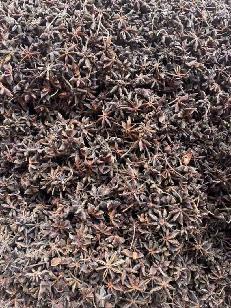 广西玉林大红八角产地直供，品种齐全，可定制规格，欢迎来电