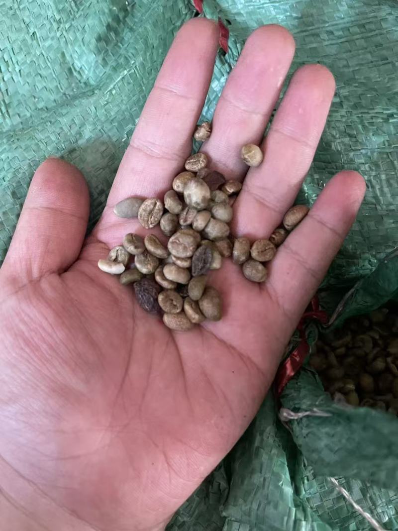 越南咖啡豆，，批发，1000斤起发，物流费协商