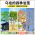 乌桕树苗1一30公分