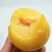 粤北黄金奈李