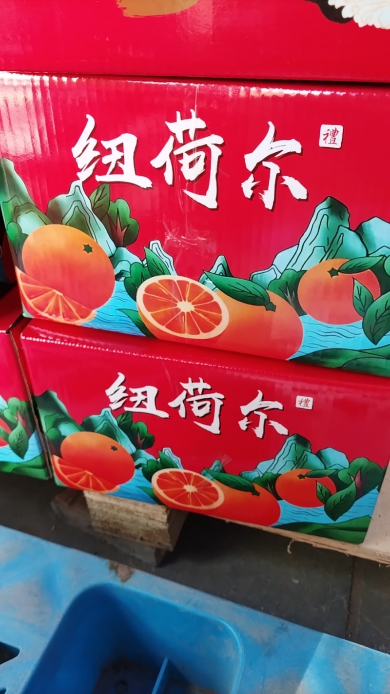 橙子