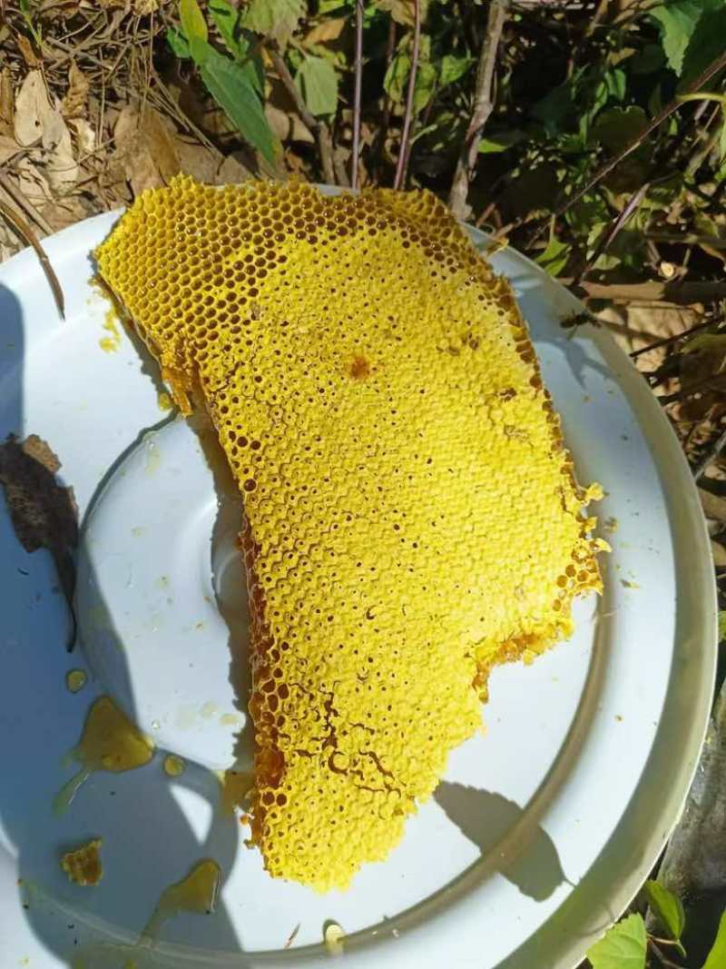 深山林野蜂蜜品质好需要老板联系我***********