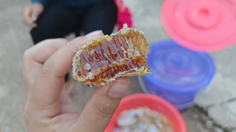 深山林野蜂蜜品质好需要老板联系我***********