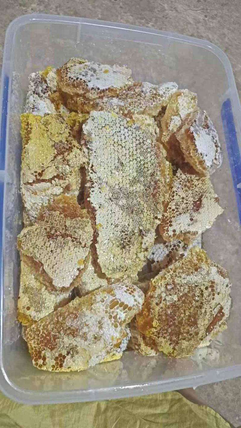 深山林野蜂蜜品质好需要老板联系我***********