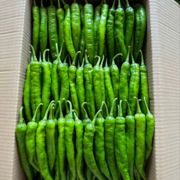 水果蔬菜