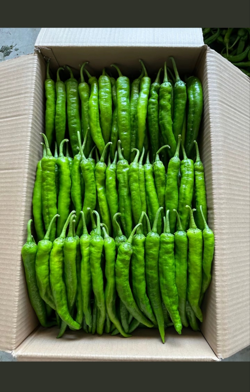 水果蔬菜