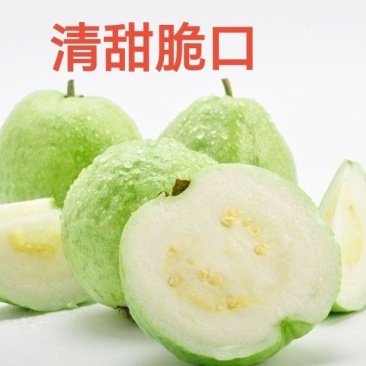 白心珍珠脆甜番石榴