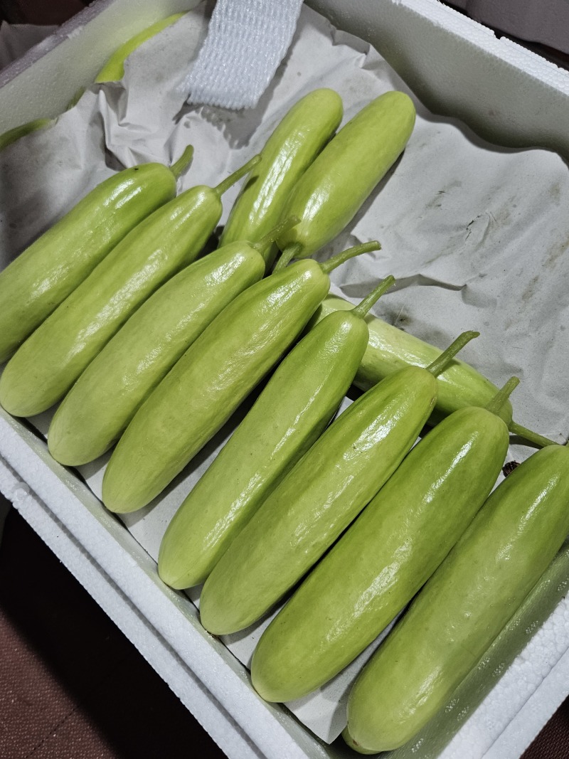 奶油黄瓜精品货