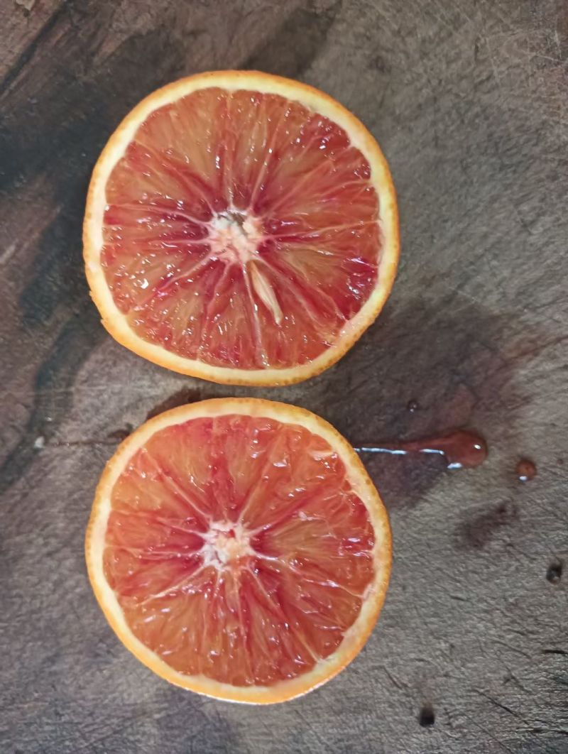 血橙