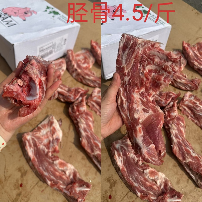 猪胫骨