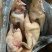 二级青脚麻公4-5-6只规格8kg/8.5kg/9.5kg