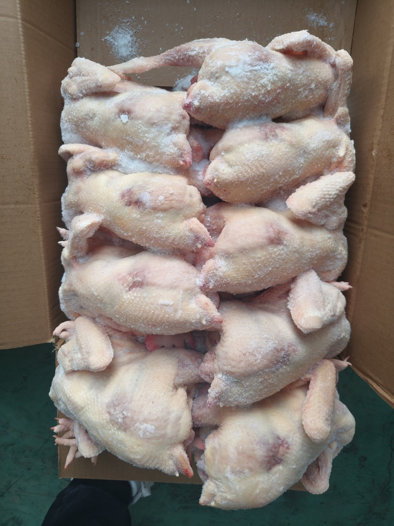 一级老母鸡11kg/件规格齐全，低价抛售