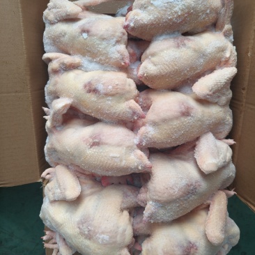 一级老母鸡11kg/件规格齐全，低价抛售
