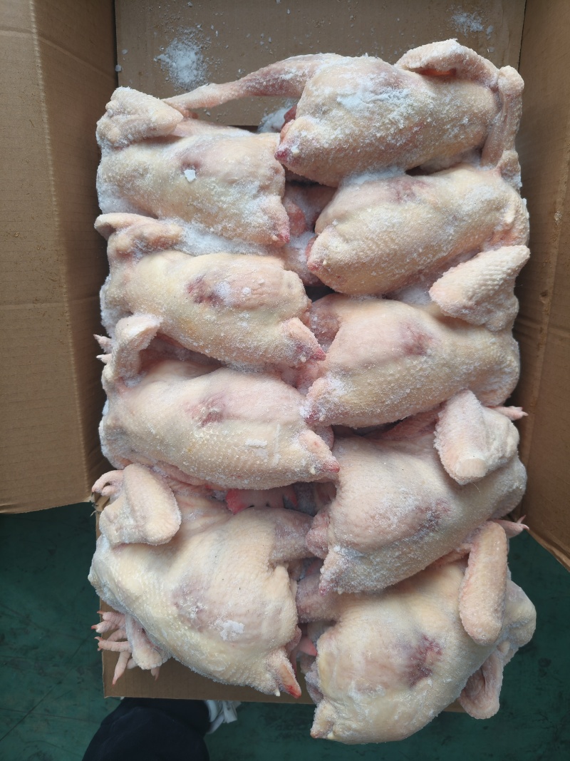 一级老母鸡11kg/件规格齐全，低价抛售