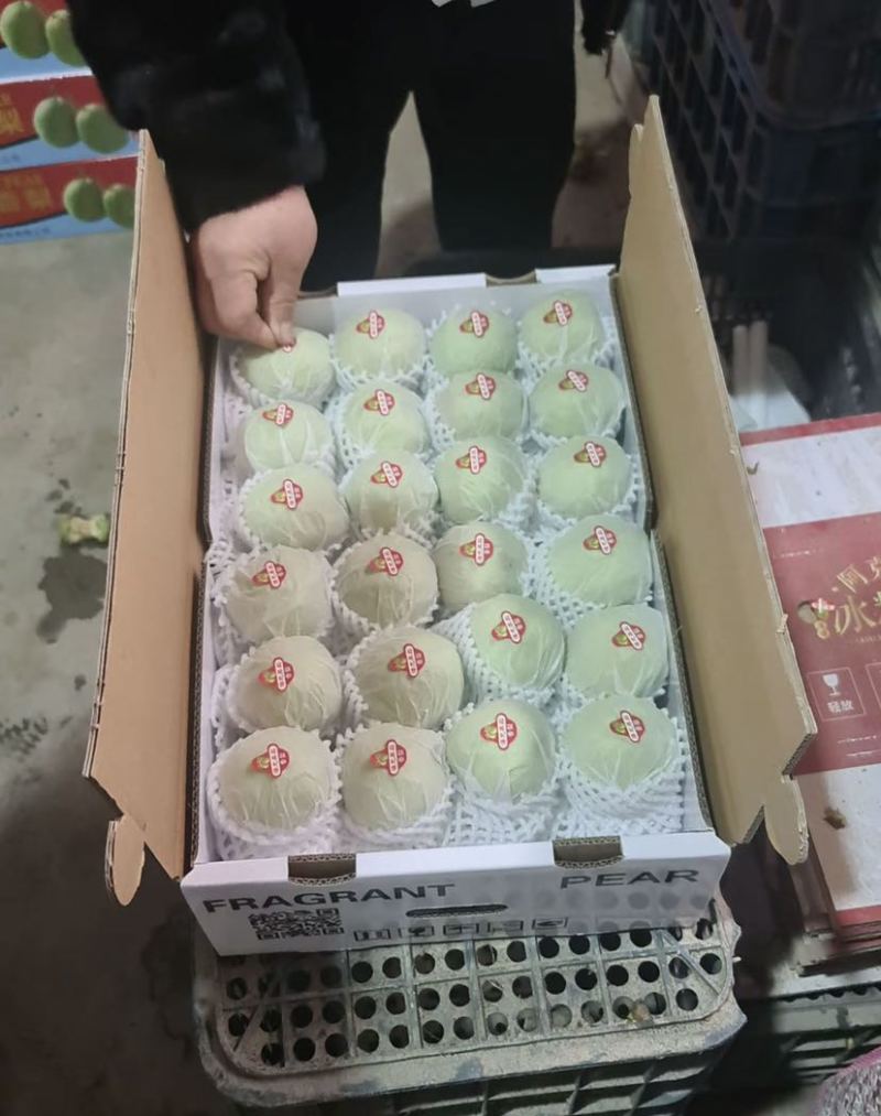 库尔勒香梨一级货180克以上货源充足保证质量
