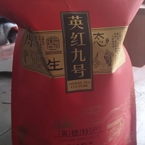 明前恭，一芽两叶！