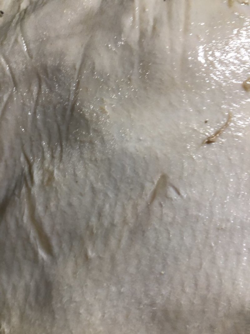 马皮
