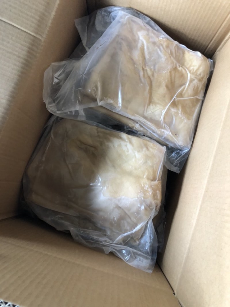 马皮