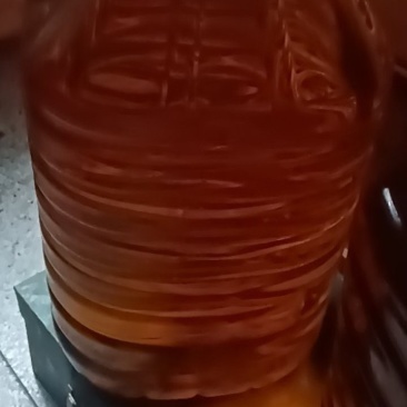 山茶油