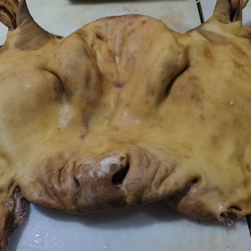 去骨牛头