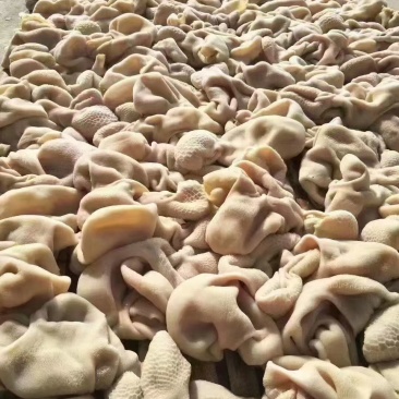 白羊肚，熟的，纯干货