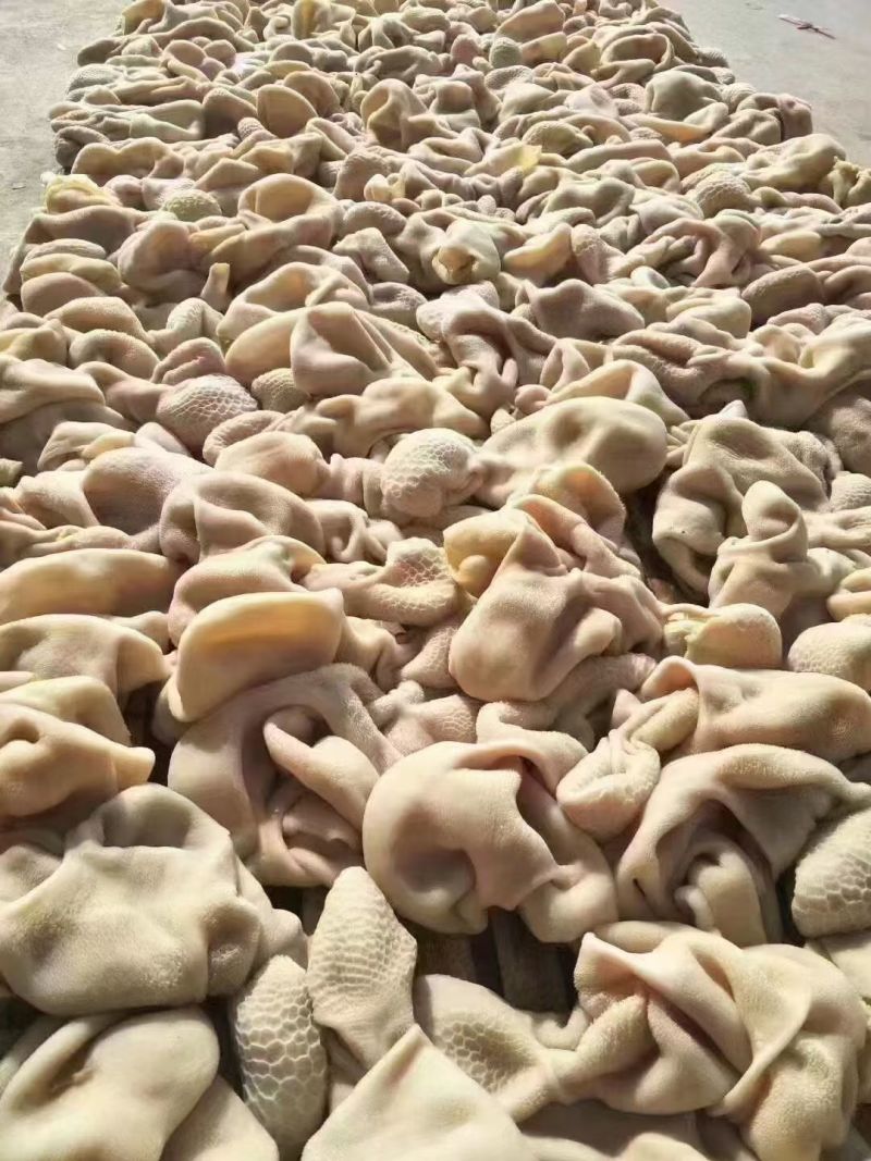 白羊肚，熟的，纯干货
