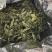 福鼎白茶寿眉百年老茶树