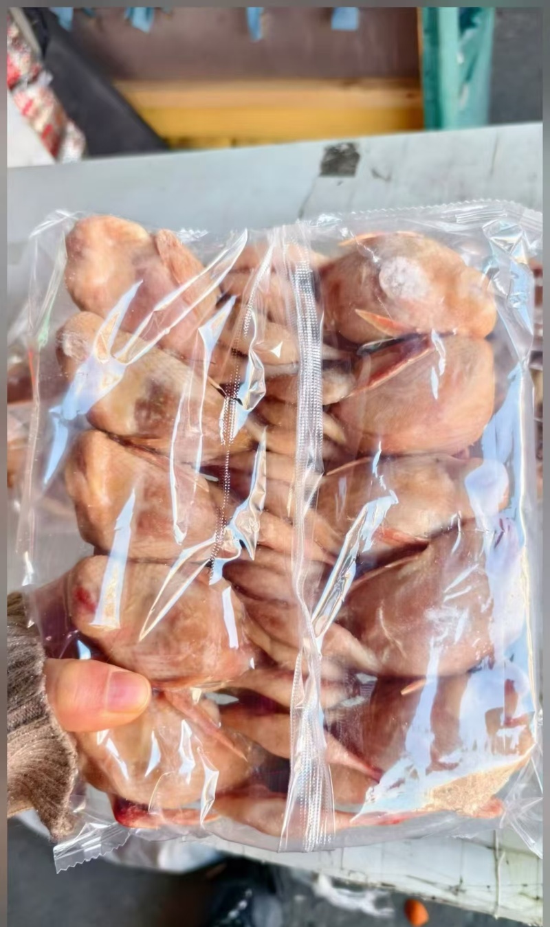 鹌鹑个头大，干净无毛