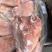 前肘后肘都是鲜品分品分割，6-9个头有都有
