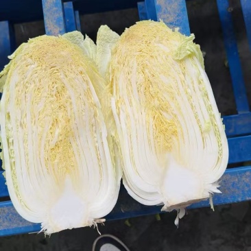 黄心大白菜