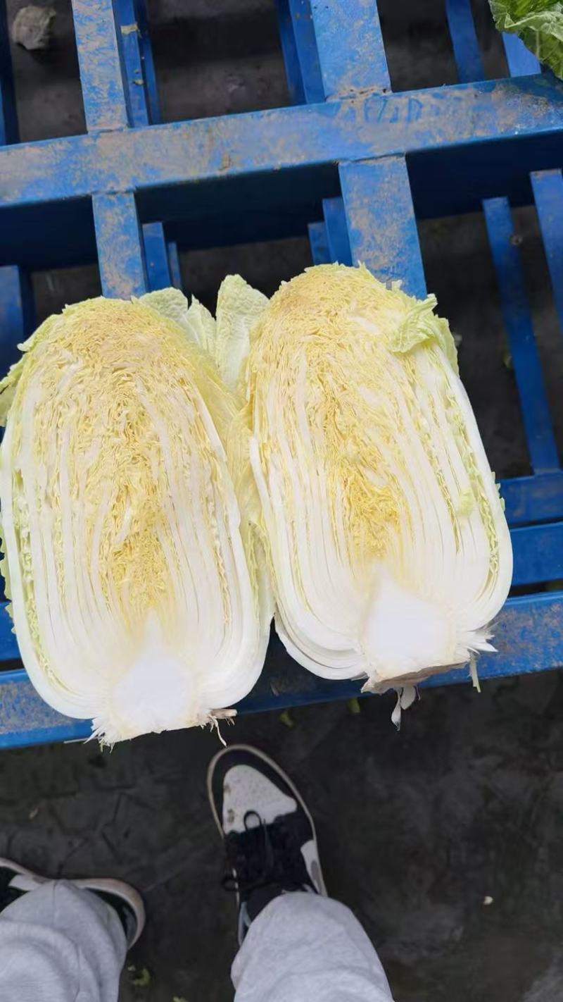 黄心大白菜