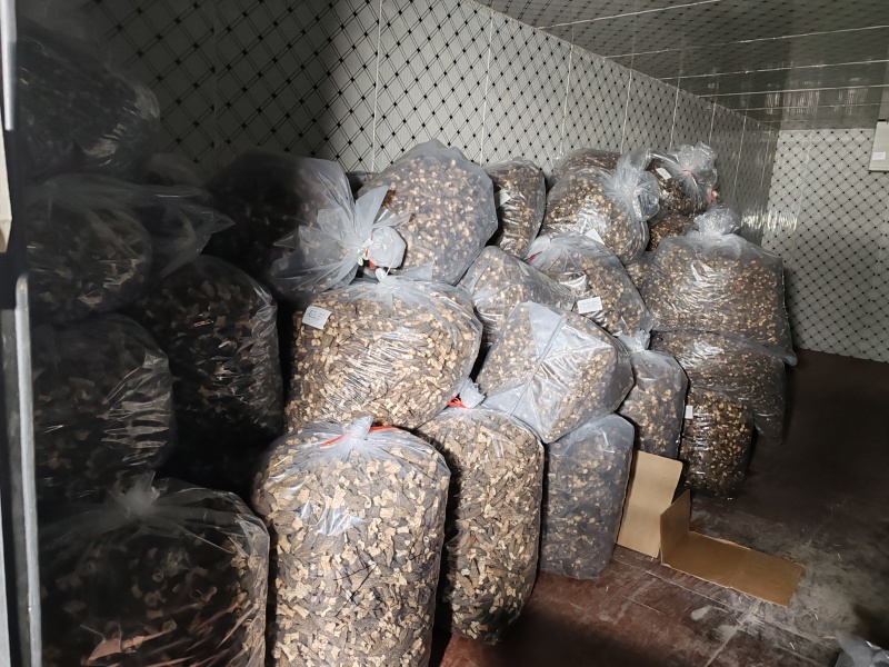 丽水高山大棚头茬羊肚菌干