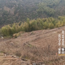 咸的，去年的陈货