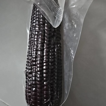 甘肃甜糯玉米