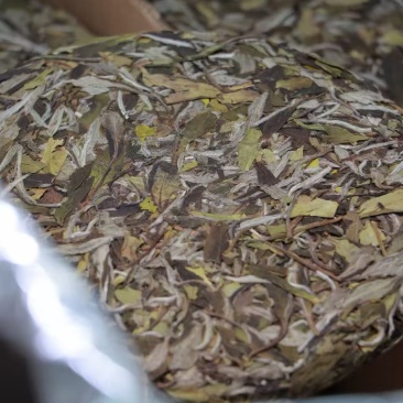 2025年·白牡丹饼AAA高山茶300克开仓8000片