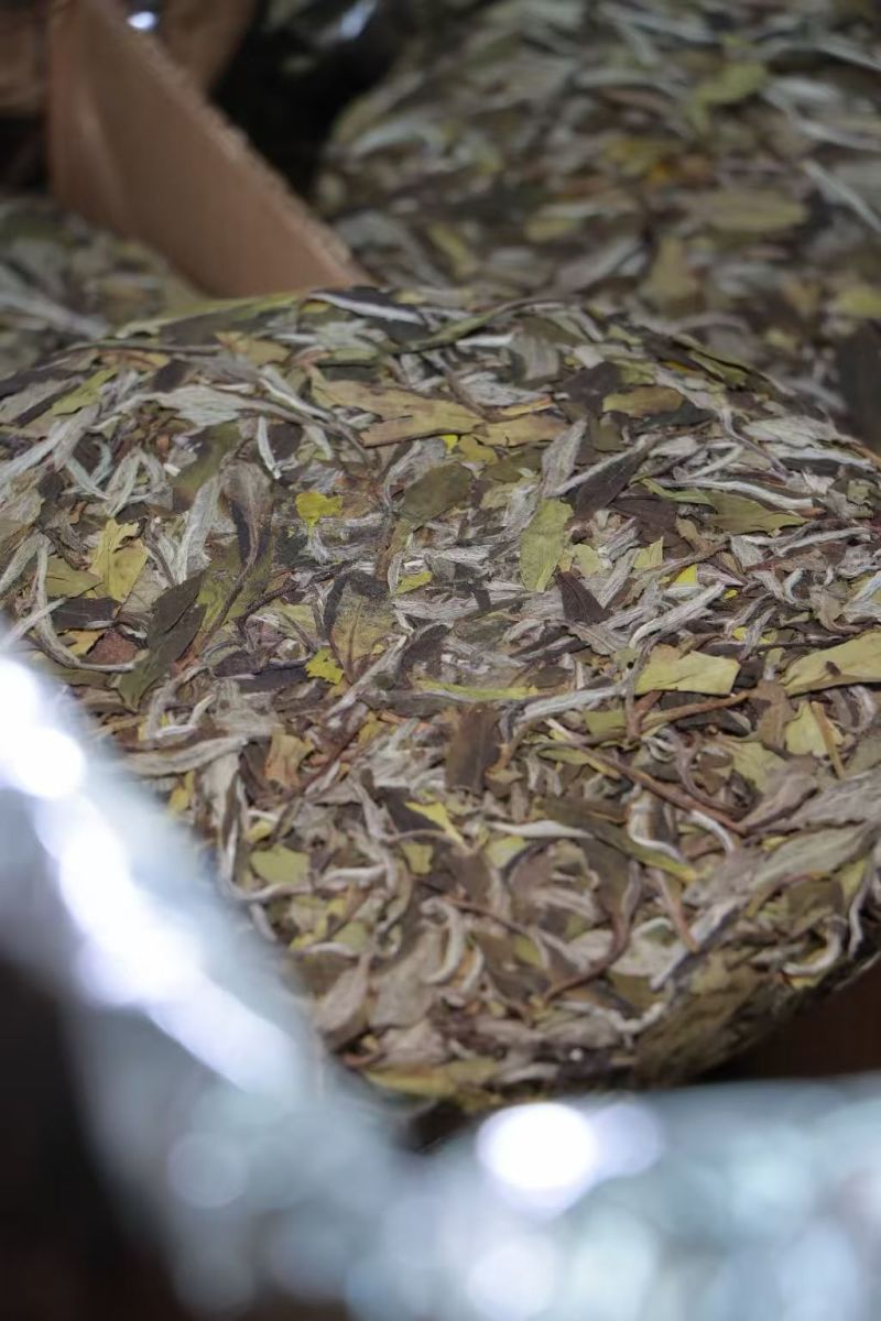 2025年·白牡丹饼AAA高山茶300克开仓8000片