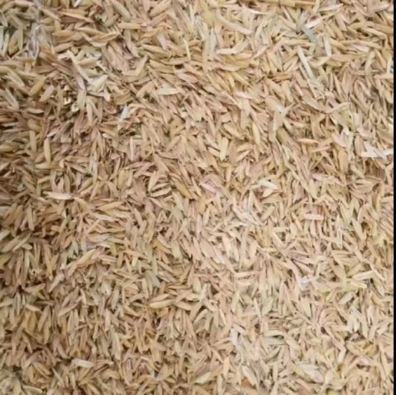 稻壳