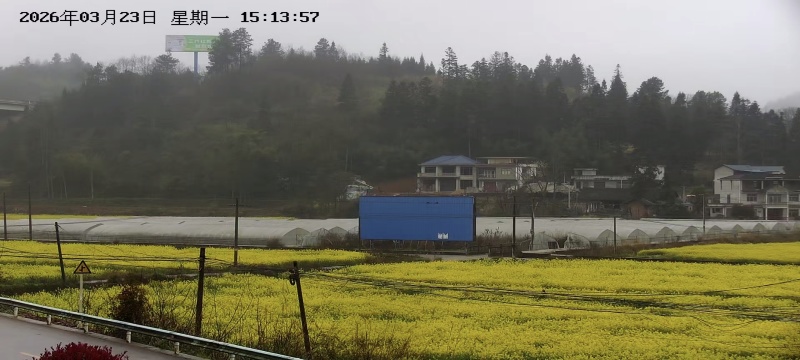 丰源c8线椒