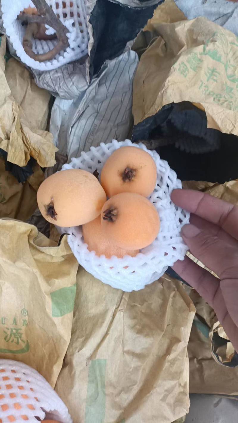 枇杷