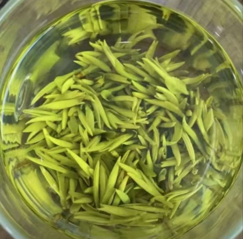 苏州洞庭碧螺春