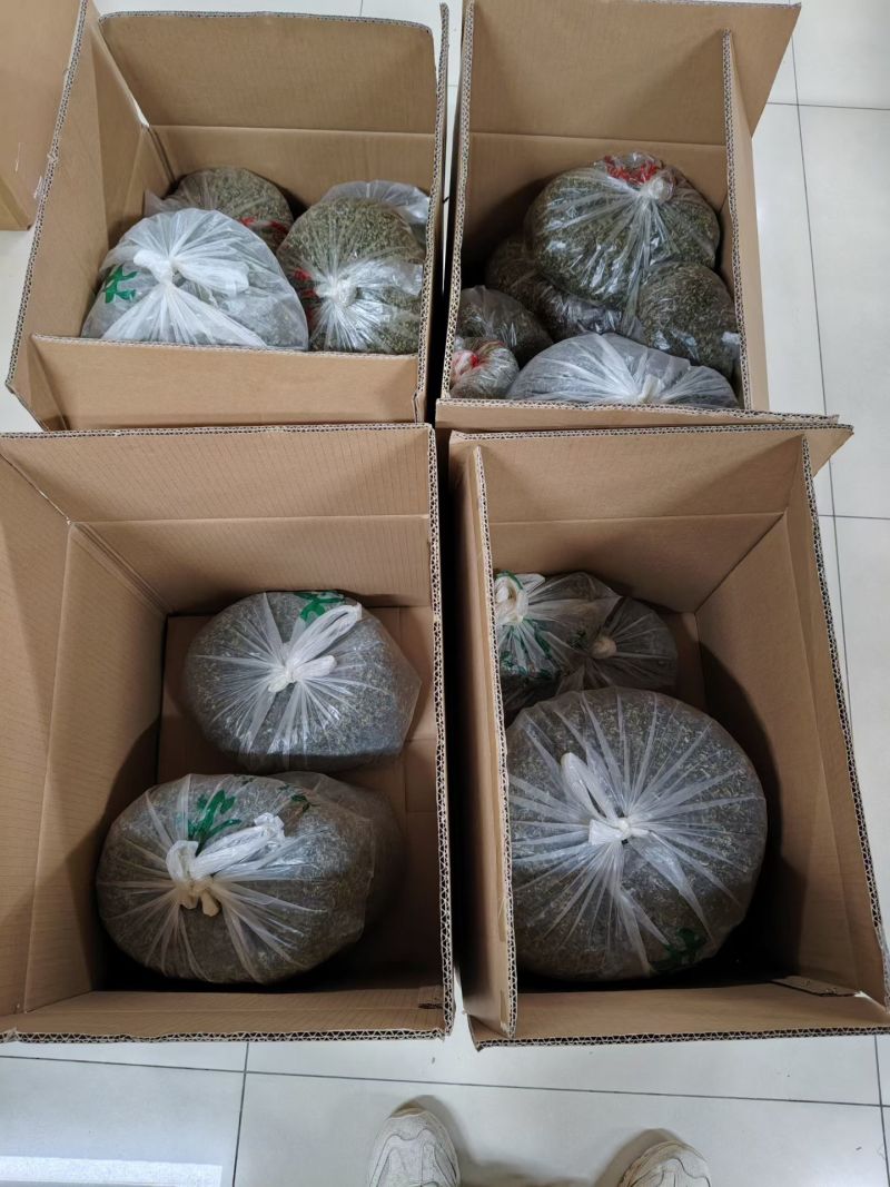 苏州洞庭碧螺春